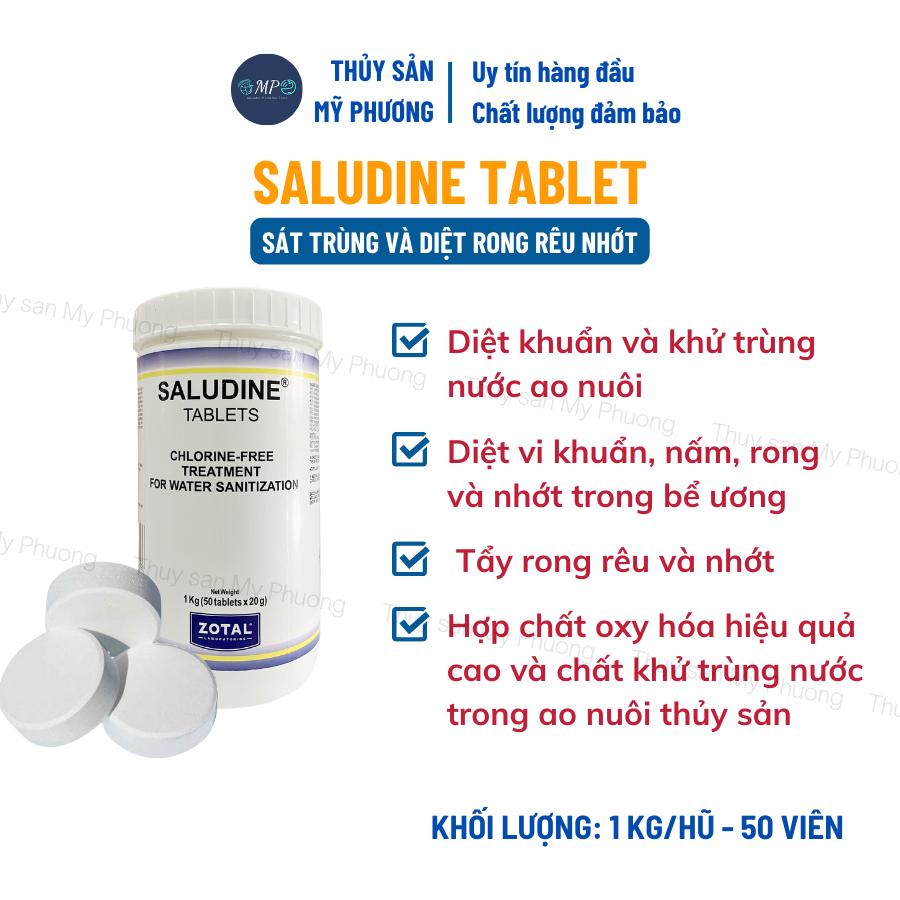 Viên sủi Cloramin B sát trùng diệt rong rêu nhớt vệ sinh hồ bơi dụng cụ ao bể tôm thẻ cá lươn ếch ốc ba ba Saludine
