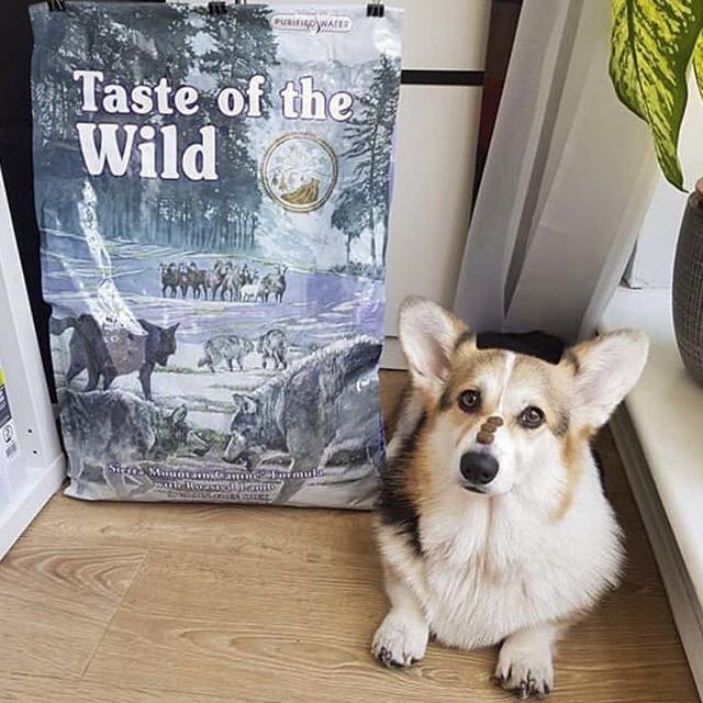 Thức Ăn Cho Chó Taste Of The Wild Bao 2kg - Sierra Mountain Thịt Cừu, Trái Cây Rau Củ Quả