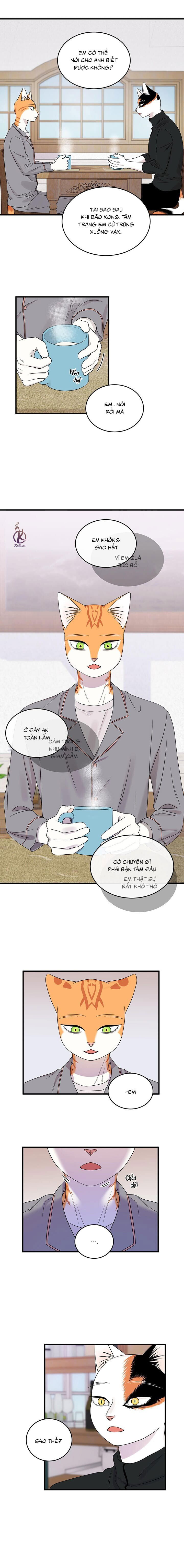 dự án xanh chapter 53 3