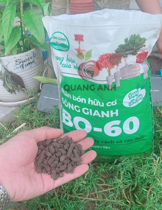 2Kg Phân Bón Viên Hữu Cơ Sông Giang BO-60 - Chuyên Hoa Cây Cảnh - Rau Màu và Các Loại Cây Ăn Trái