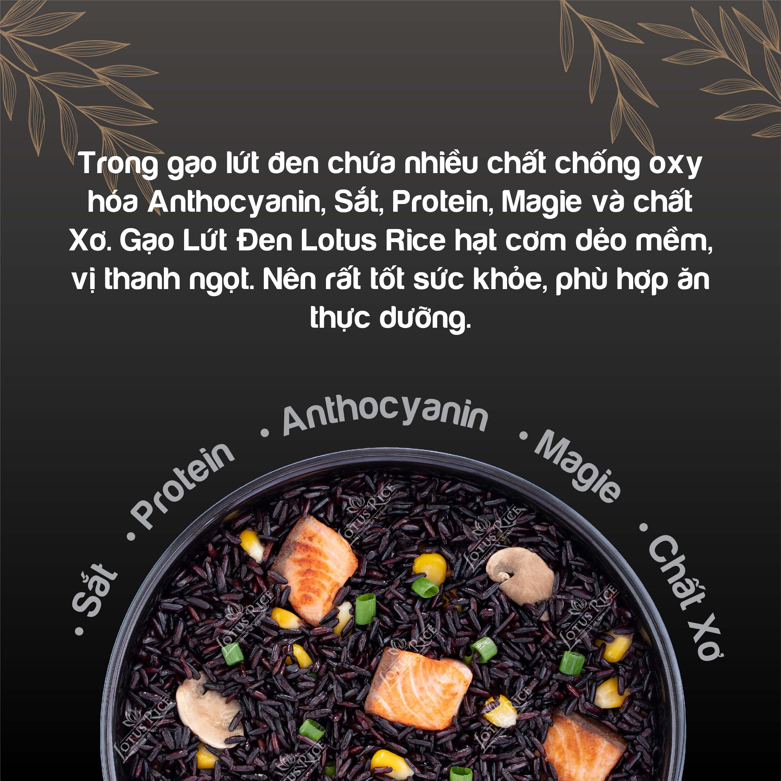 Hình ảnh Gạo Lứt  Đen Lotus Rice 1kg - Tốt cho người ăn thực dưỡng - Dễ ăn dễ nấu