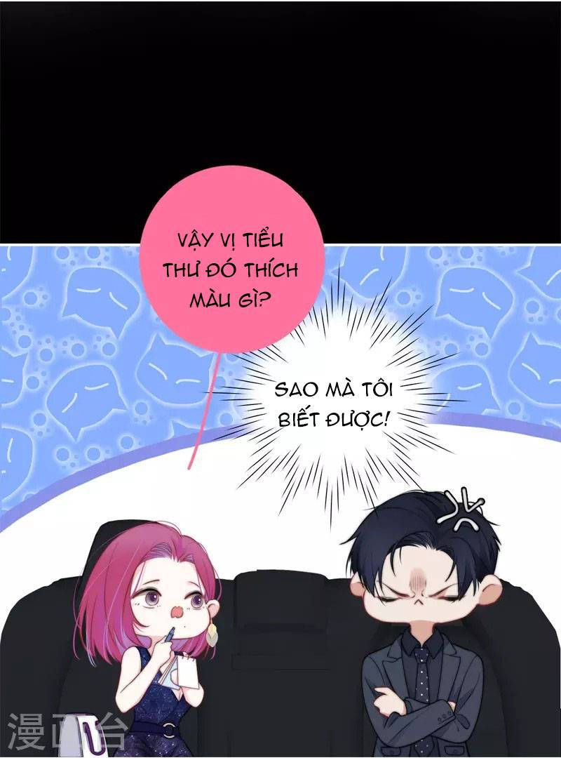 kim ốc tàng kiều chapter 40.6 17