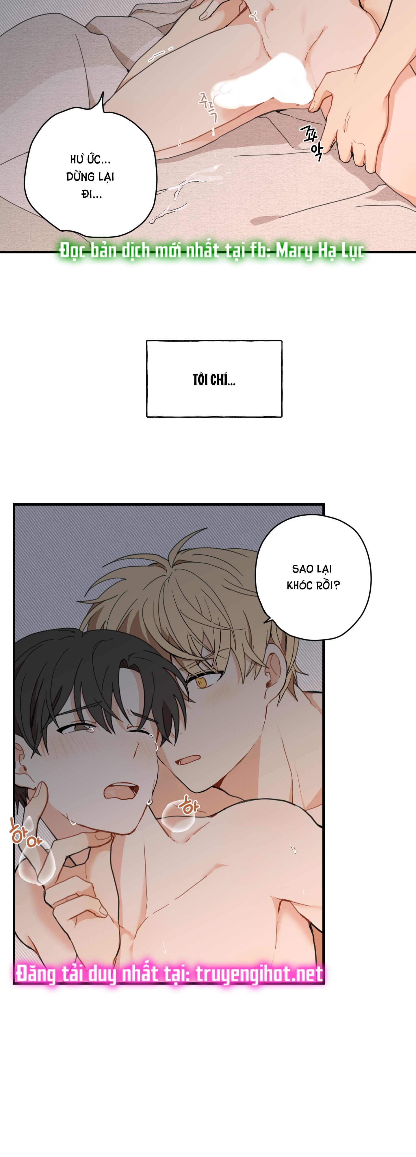 [18+] con đường hoa chuông vàng - liên kiều rơi chốn này chapter 1.1 5