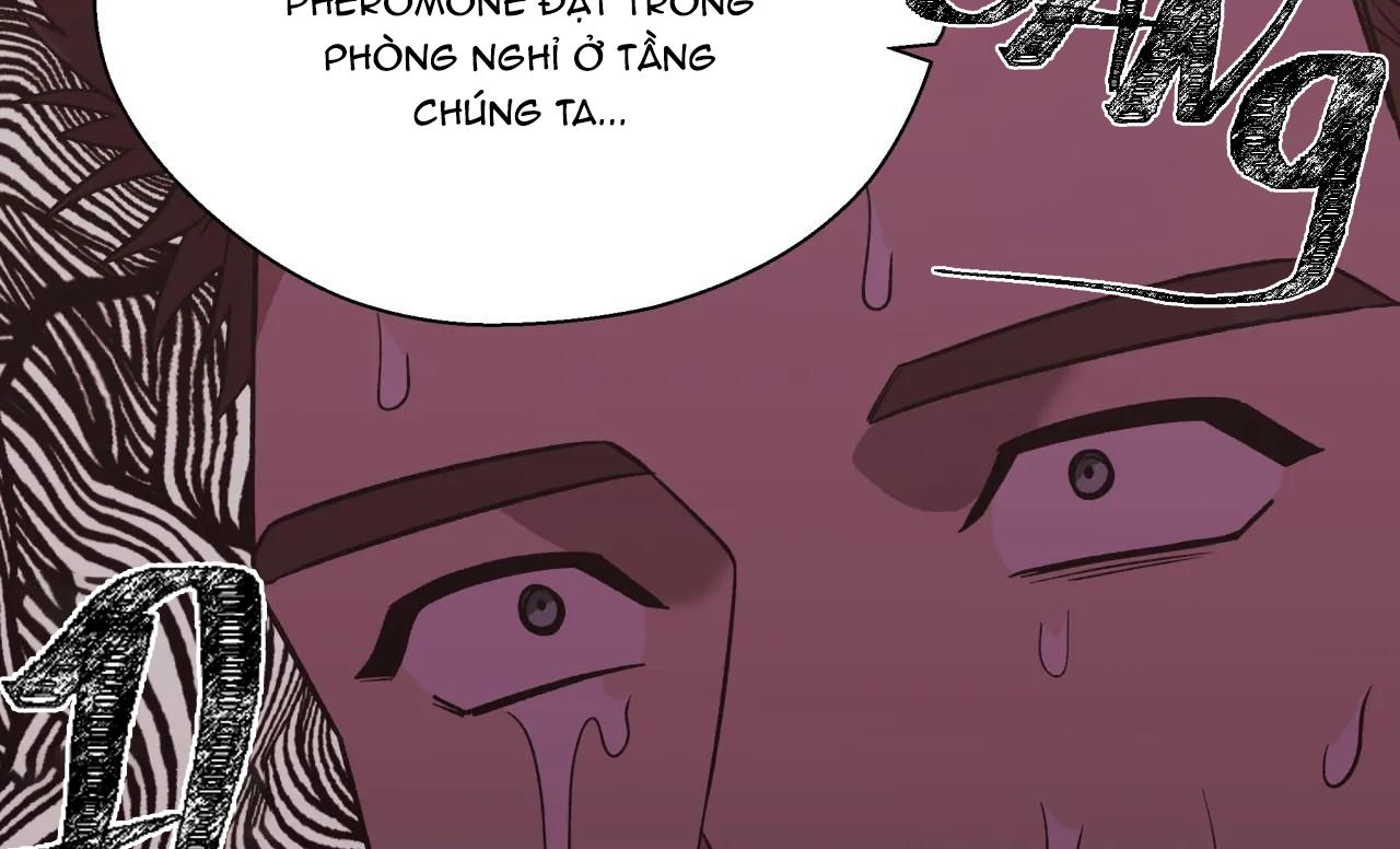 ám ảnh pheromone chapter 26 29