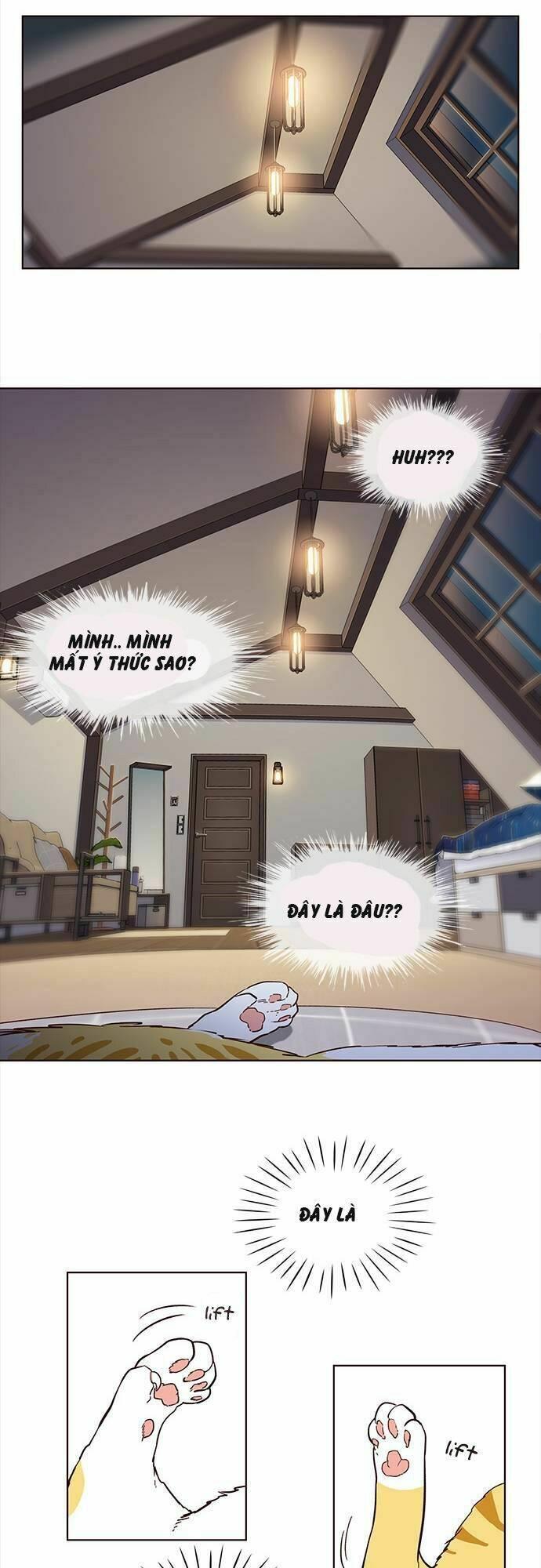 biến thân thành mèo chapter 1 25