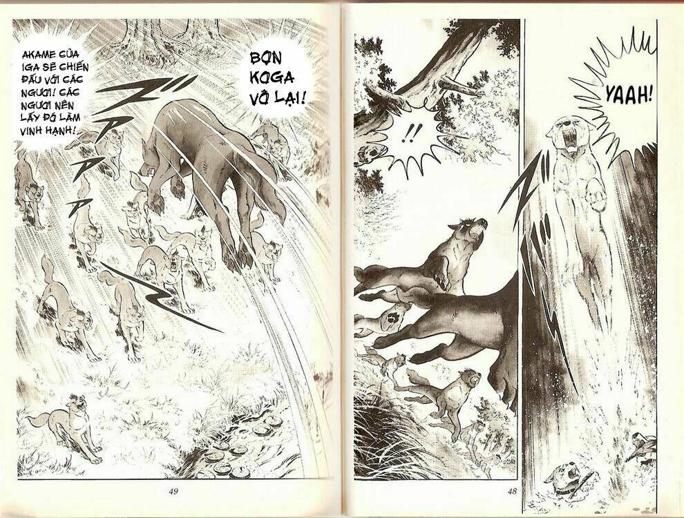 chú chó có nghĩa - ginga nagareboshi gin chapter 19 23