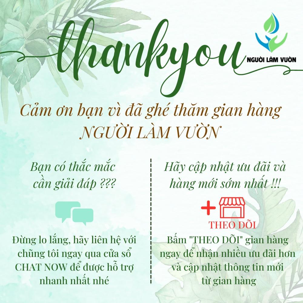 Béc tưới xòe phun mưa hạt nhỏ chân ren 17mm  ứng dụng tưới công viên, cảnh quan, sân vườn, cây cảnh