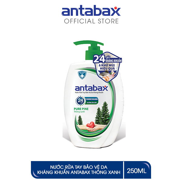 Nước rửa tay Bảo vệ da Kháng khuẩn Antabax Thông xanh 250ml