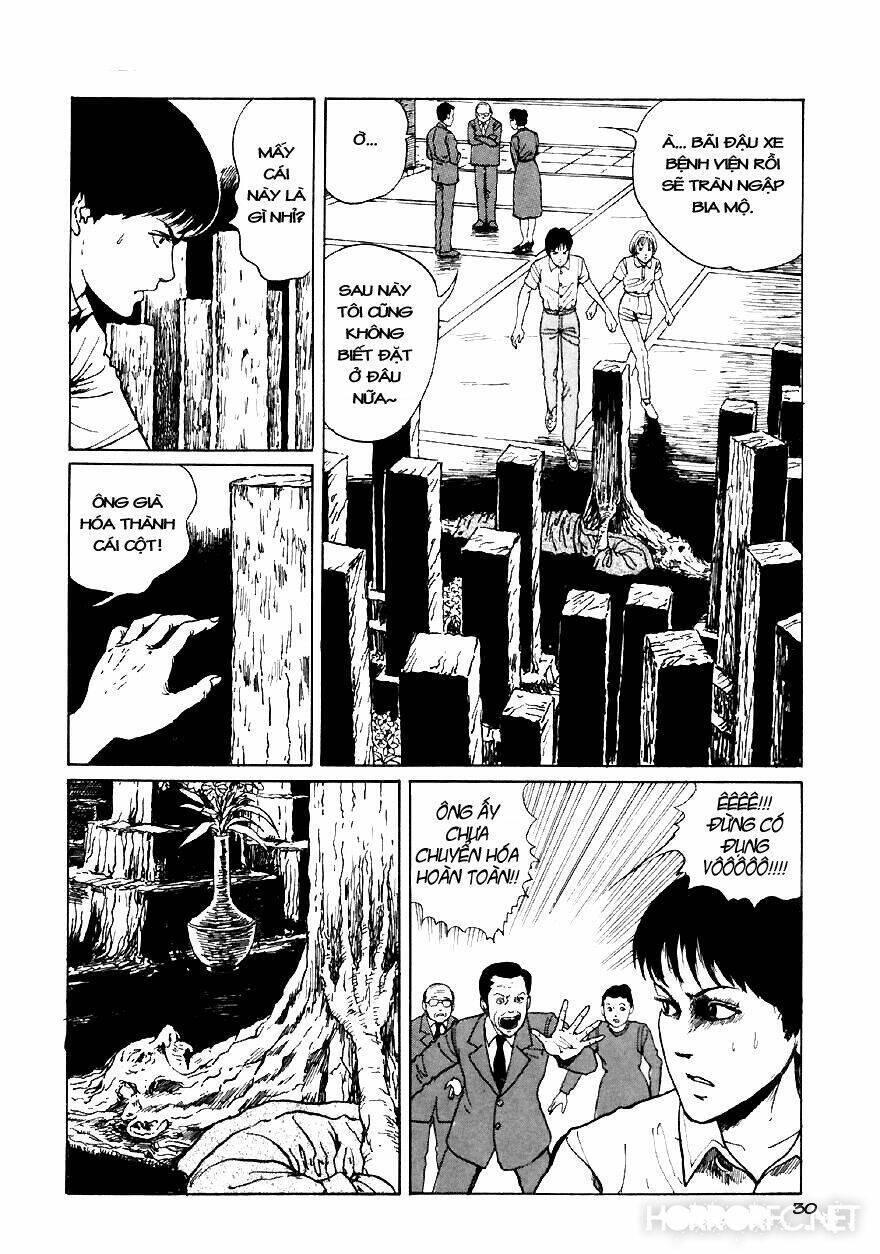 tuyển tập truyện ngắn kinh dị của ito junji chapter 13.2 32
