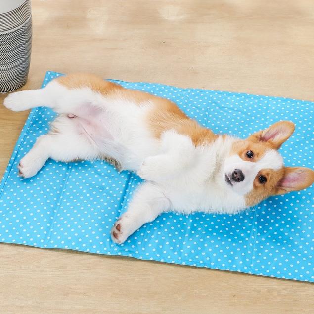 Thảm Gel Làm Mát Cho Thú Cưng