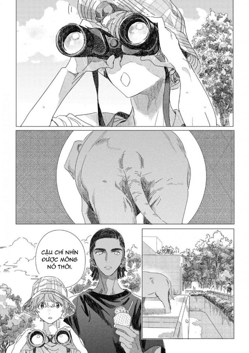 đất nước của những chú sư tử chapter 4 2