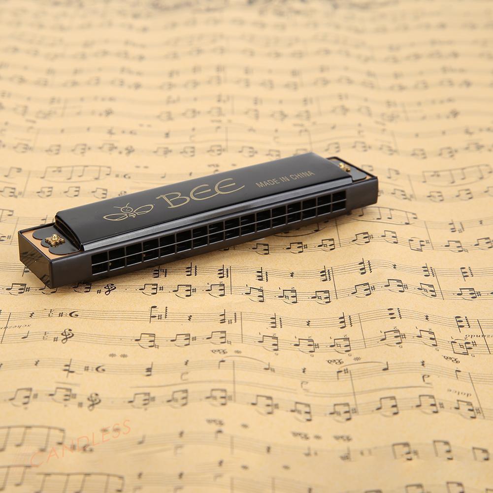 Kèn Harmonica 16 Lỗ Cho Người Mới Bắt Đầu