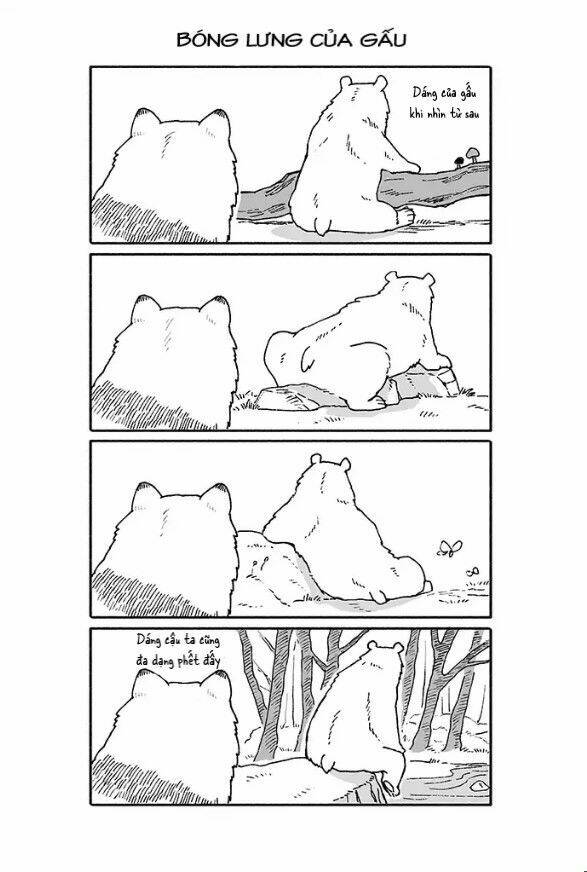 gấu và tanuki chapter 8 1