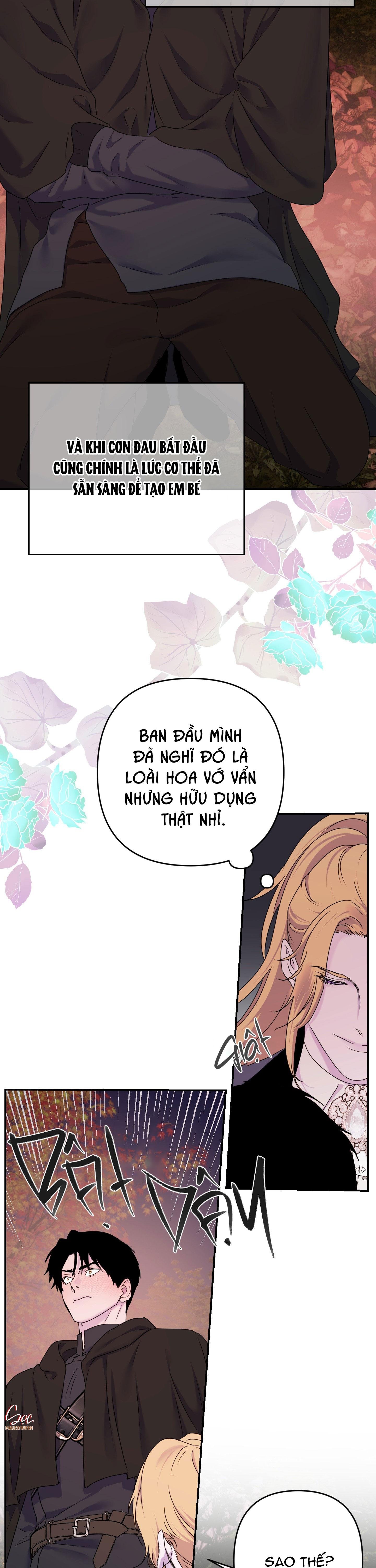 đóa hoa của alosha chapter 30 10