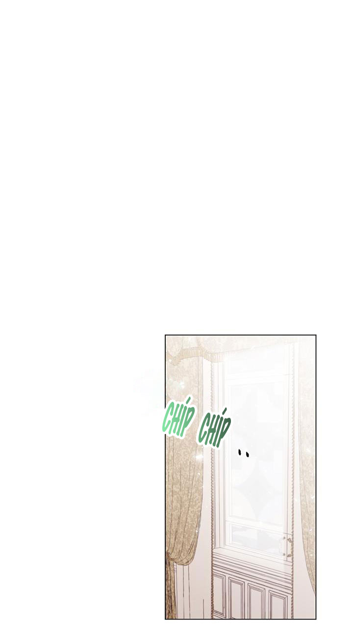 elizabeth chapter 18 27