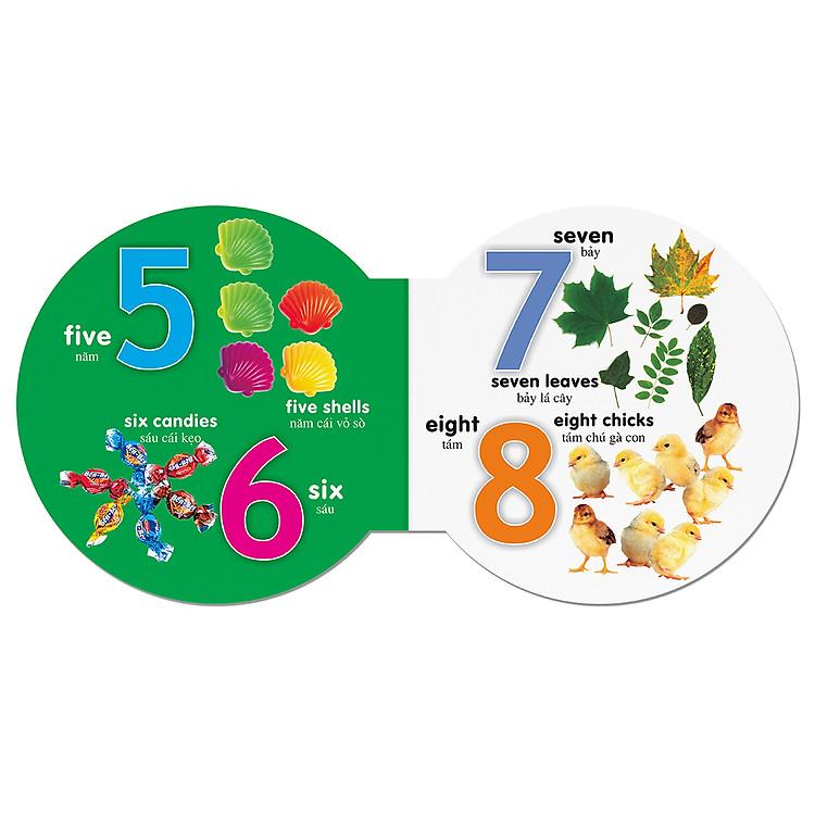 Sách Picture Dictionary - Từ điển bằng hình