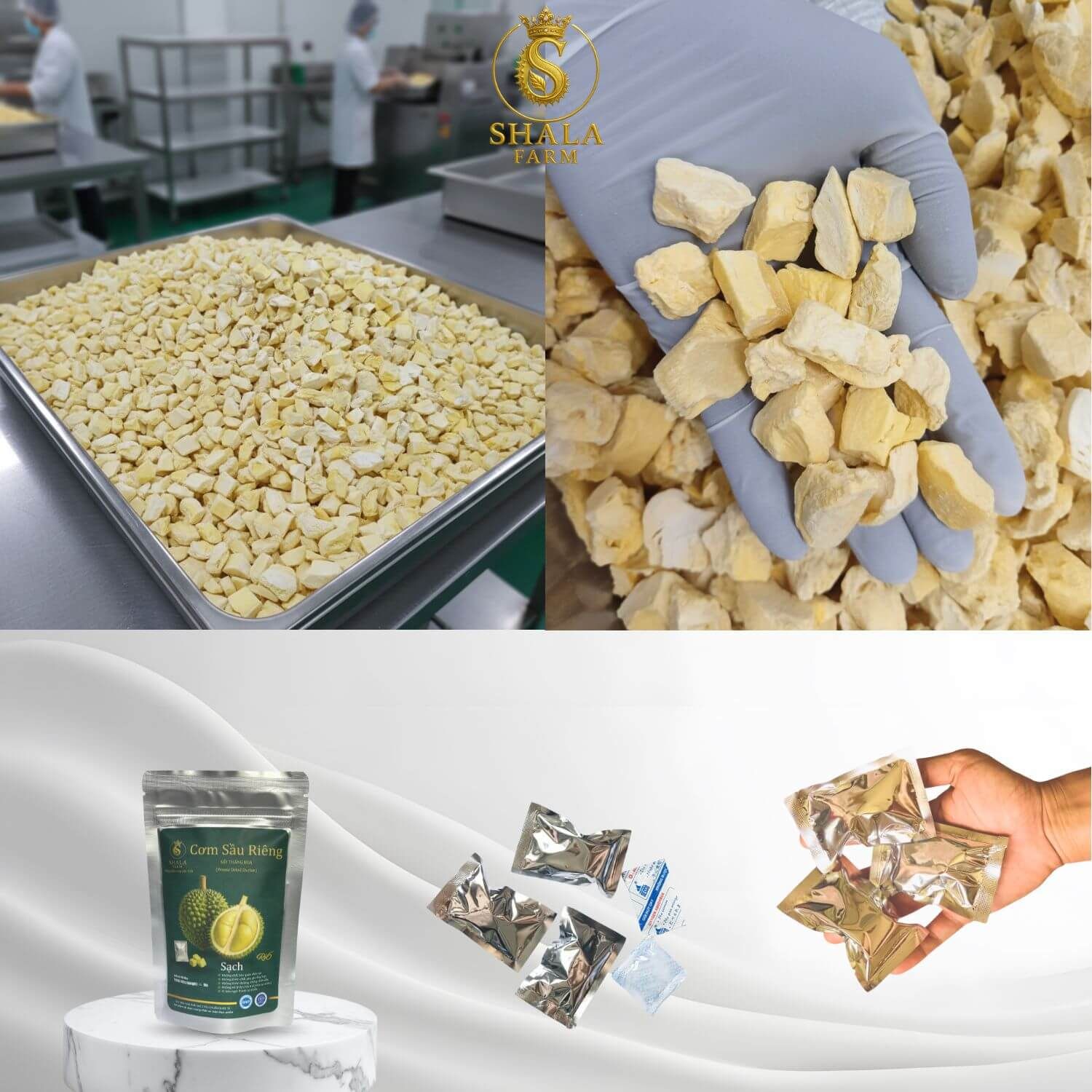 [ISO 22000] Cơm Sầu Riêng Ri6 Sấy Thăng Hoa Shala Farm 15g – Snack Healthy từ Trái Chín Tự Nhiên