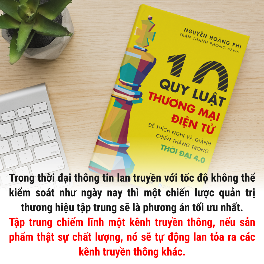 10 Quy Luật Thương Mại Điện Tử - Bộ Sách Trên Lưng Khổng Tượng - Kinh Doanh Online - Để Thích Nghi Và Giành Chiến Thắng Trong Thời Đại 4.0