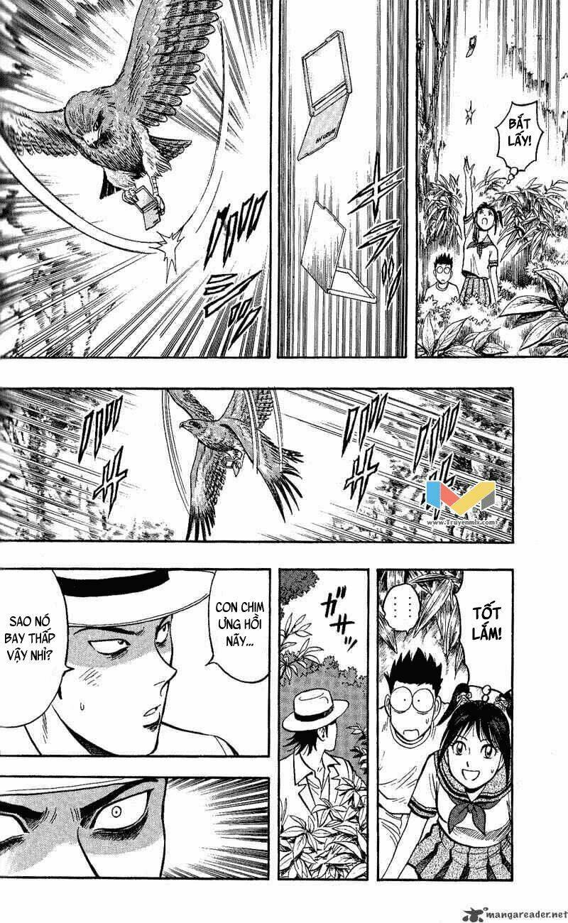 animal sense chapter 11 14