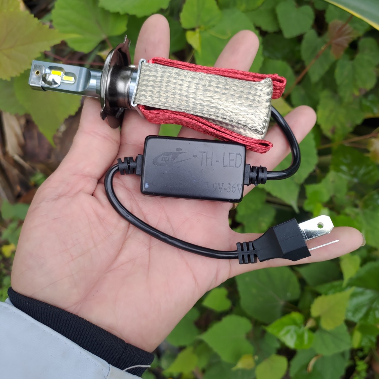 Đèn pha LED T4s 3 màu | chíp led Cao cấp lắp zin sài được cả điện máy hàng loại 1 bảo hành 12 tháng