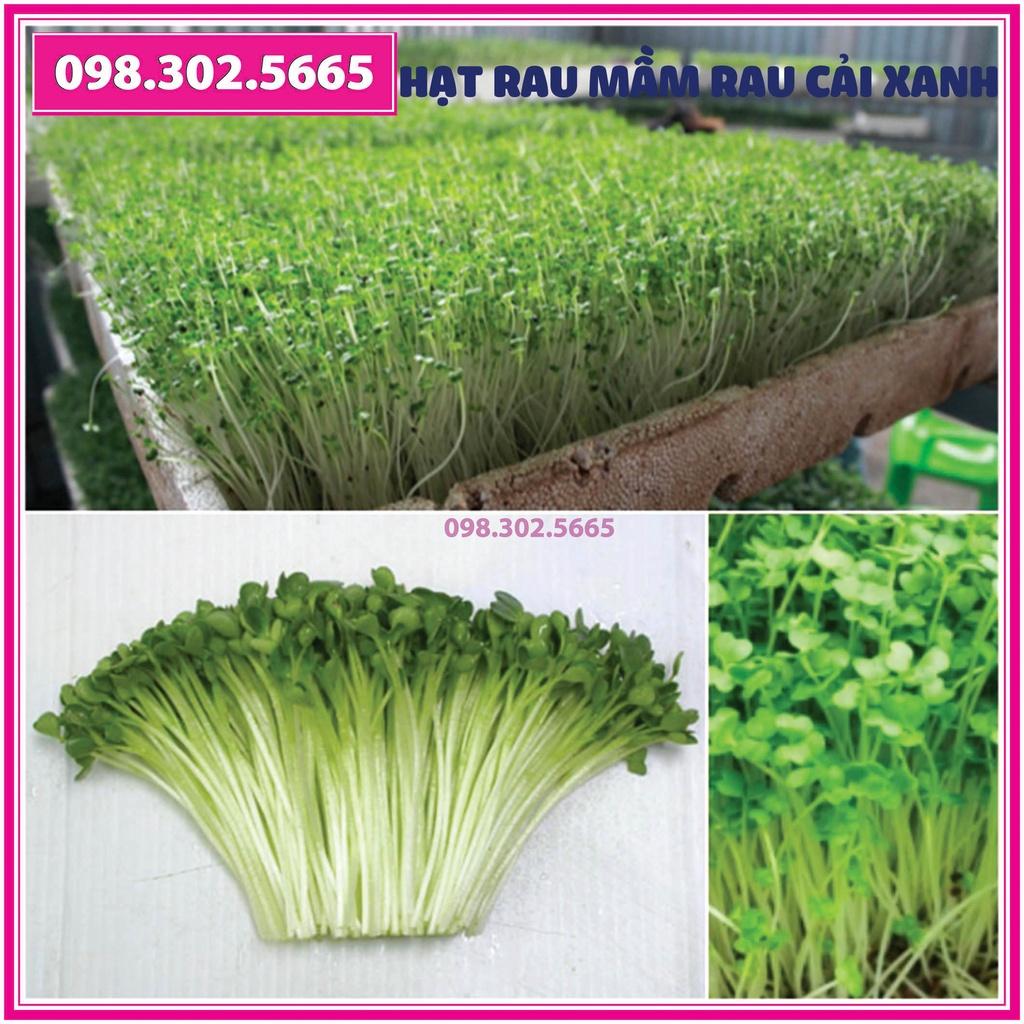 Hạt rau mầm rau cải xanh - gói 50g - Trồng rau mầm sạch, rau mầm hữu cơ an toàn tại nhà