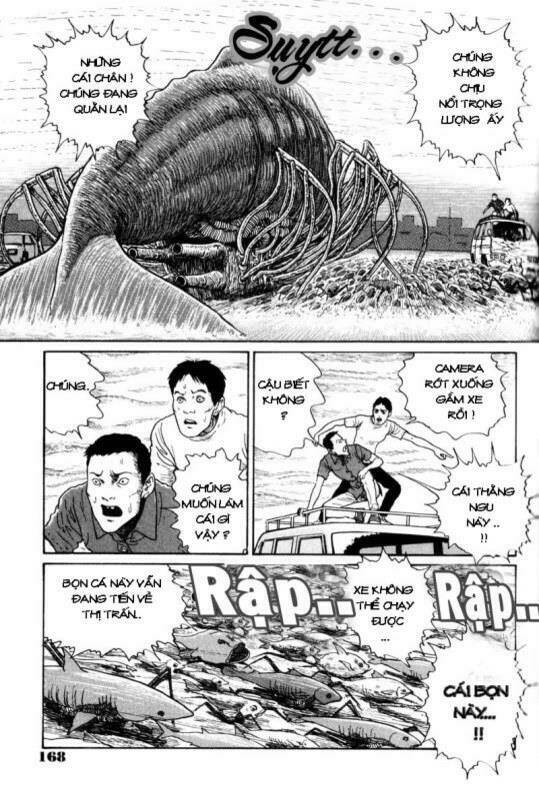 quái vật biển chapter 9 6