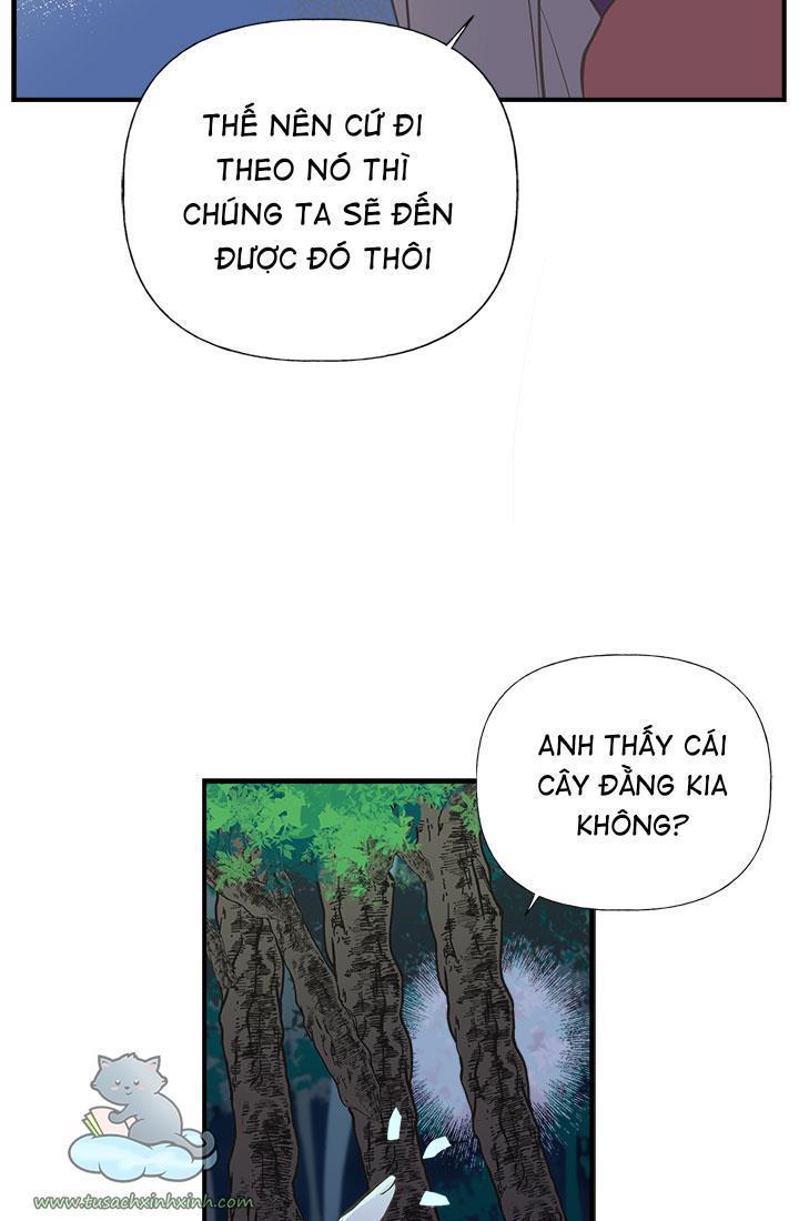 chị tôi nhặt về nam chính của tiểu thuyết chapter 8 60