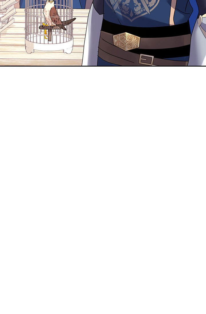 công chúa của loài chim chapter 36.1 37