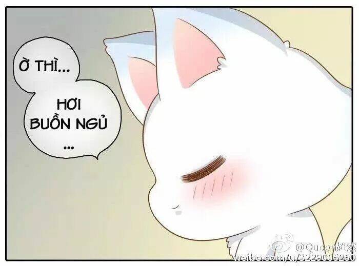 tiểu hồ ly vs tiểu hóa thượng chapter 34 12