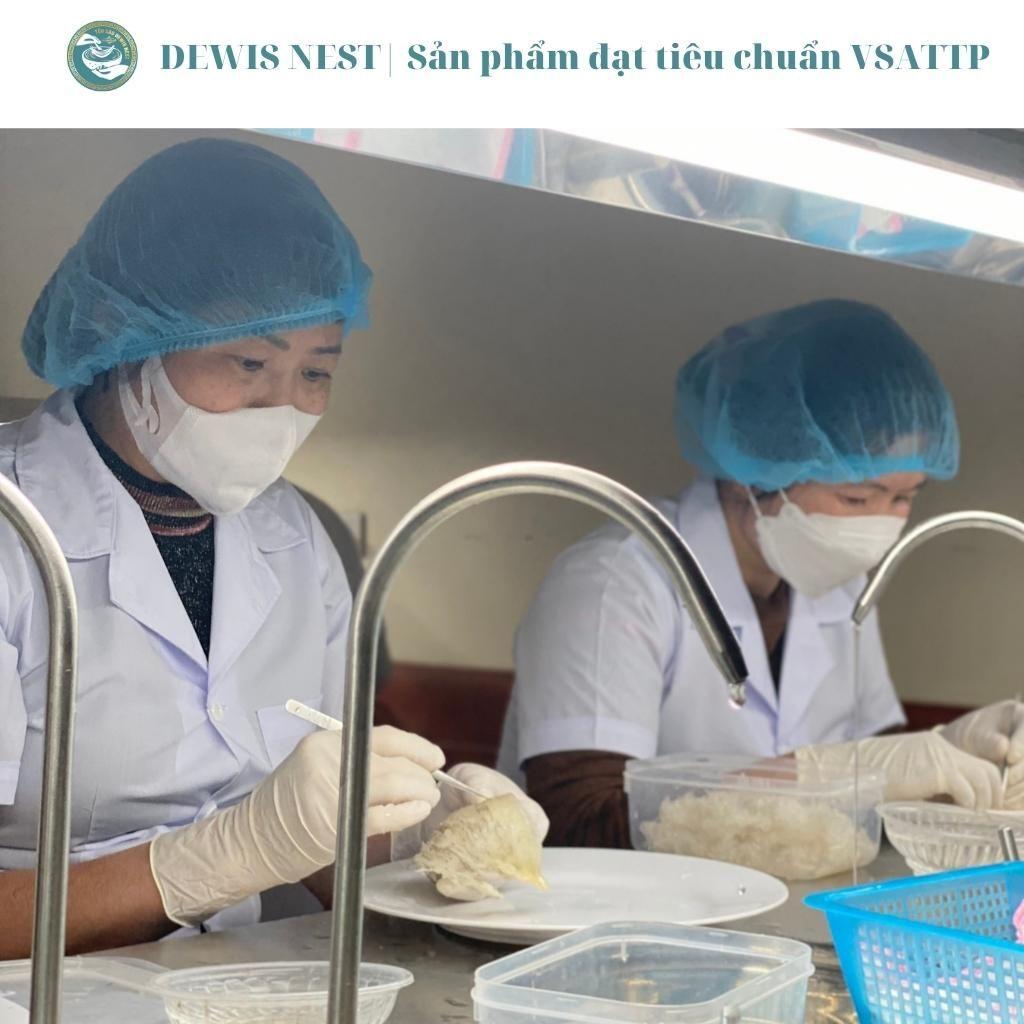 Tổ yến sào nguyên chất kèm nguyên liệu và hũ chưng - DEWIS NEST