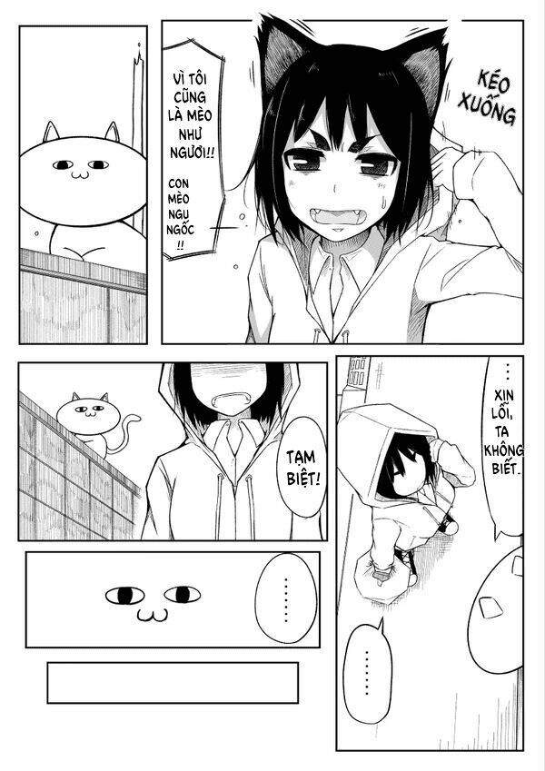 đây là câu chuyện về một con mèo chapter 0 6