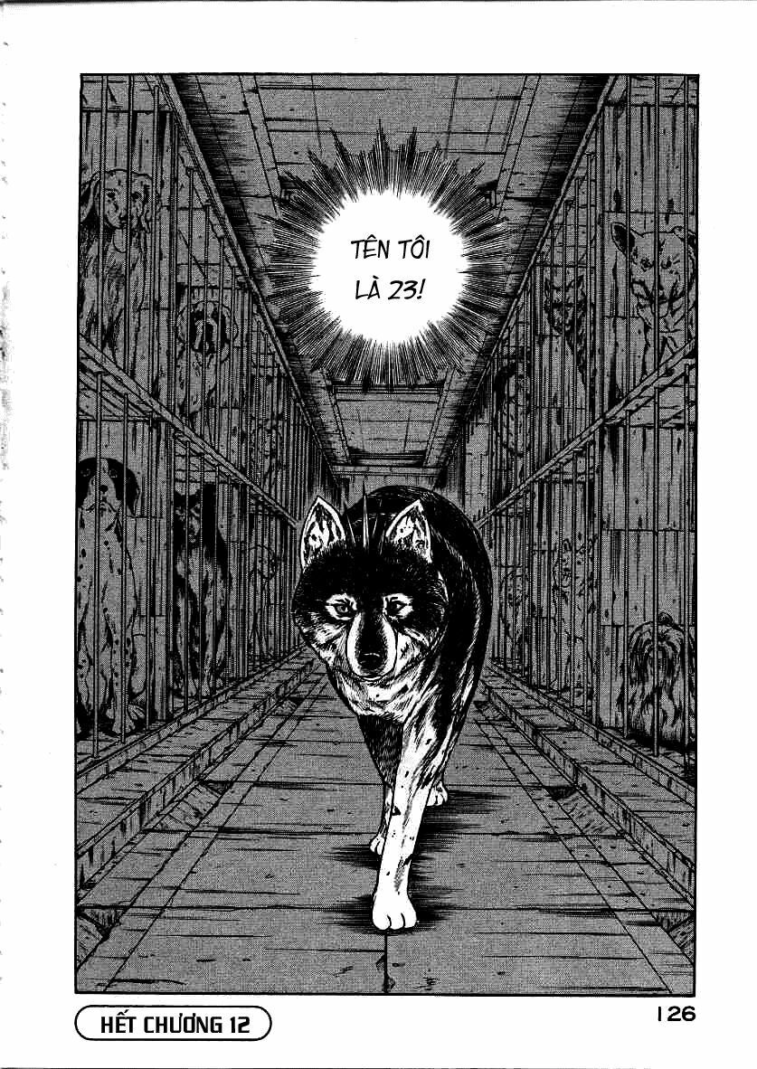 inugami chapter 12 44