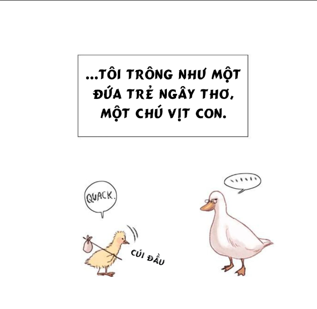 Tình Yêu Như Một Giấc Mộng Hè Chapter 1 - Next Chapter 2