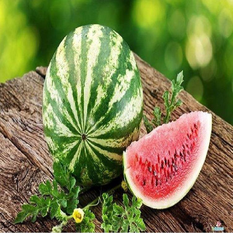 Hạt giống dưa hấu ruột đỏ quả tròn - 1 gói 10 hạt/Kèm gói kích hạt nảy mầm