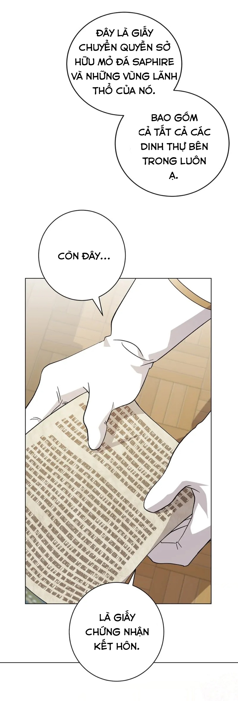 nữ phản diện muốn có kết thúc đẹp chapter 62 7