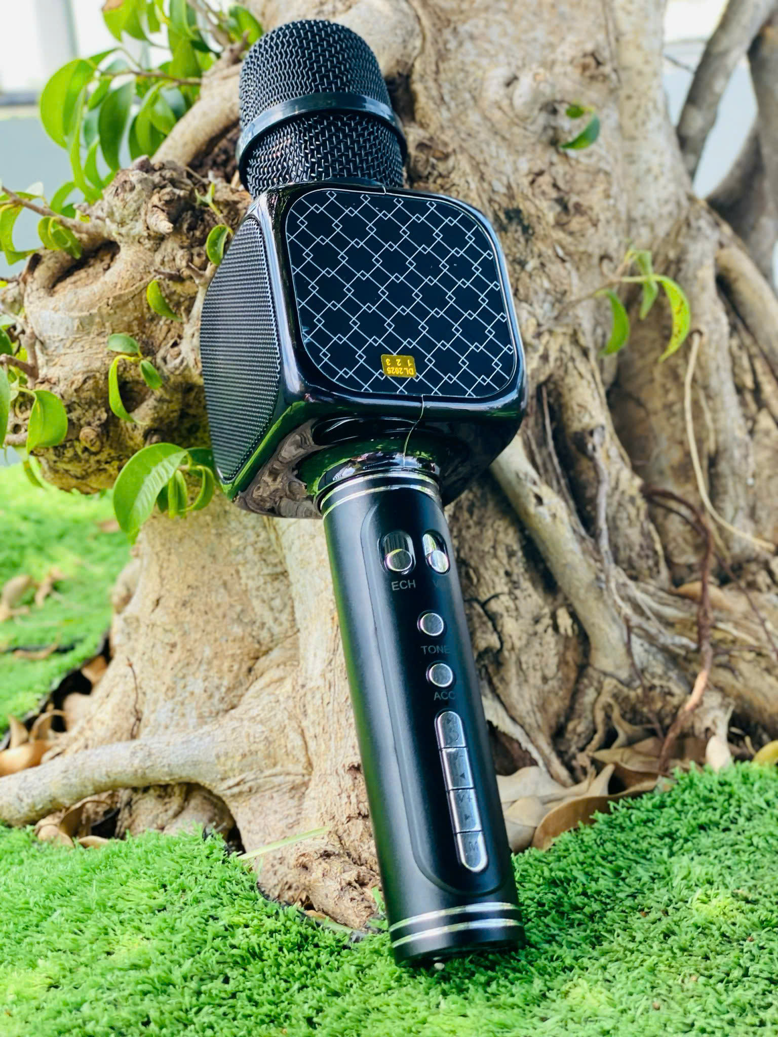 Micro Kèm Loa Bluetooth YS69 Hiệu Ứng Đổi Giọng Chuyên Nghiệp, Tích Hợp Loa Ngay Trên Micro, Karaoke Gia Đình, Giảng Dạy, Hội Họp hàng nhập khẩu