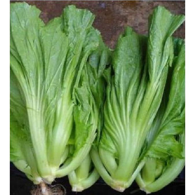 Hạt giống rau cải bẹ dưa cao sản - Gói 1kg