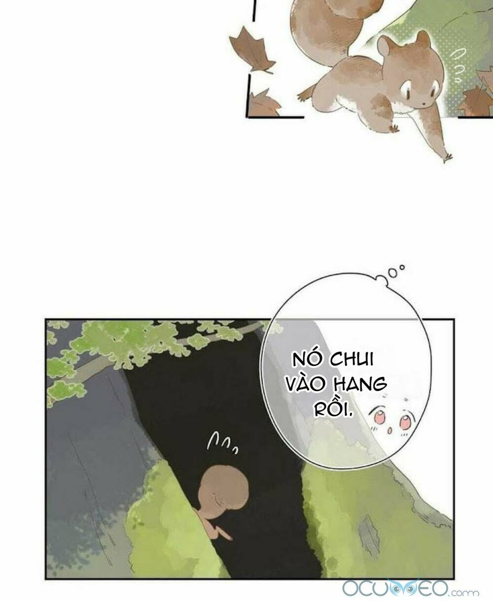 sos! tôi đã yêu một con sâu bướm (phần 2) chapter 12 21