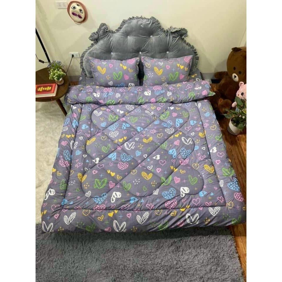 Bộ ga poly côtng 5 món nhiều mẫu cho giường 1m6*2m