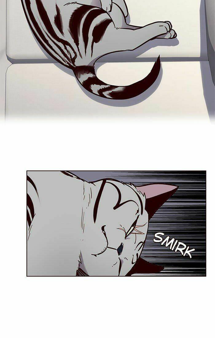 biến thân thành mèo chapter 37 40