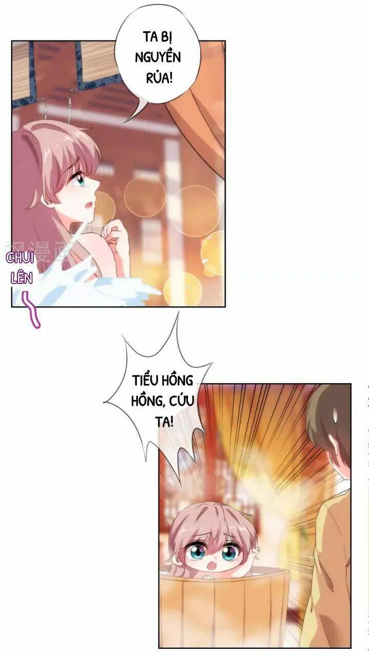 ồ, phu quân đáng yêu của tôi! chapter 28 19