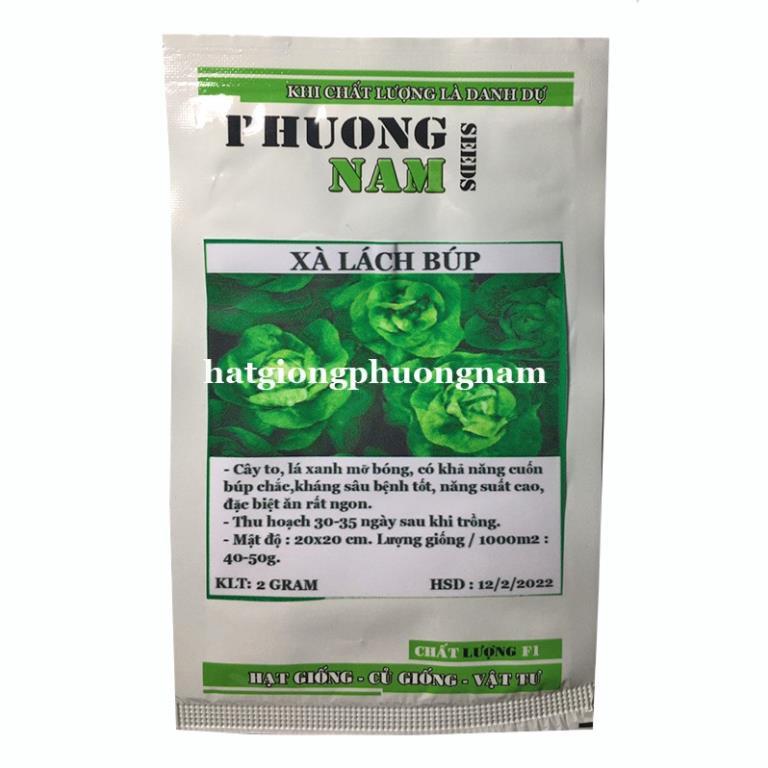 2GR - HẠT GIỐNG XÀ LÁCH BÚP MỠ