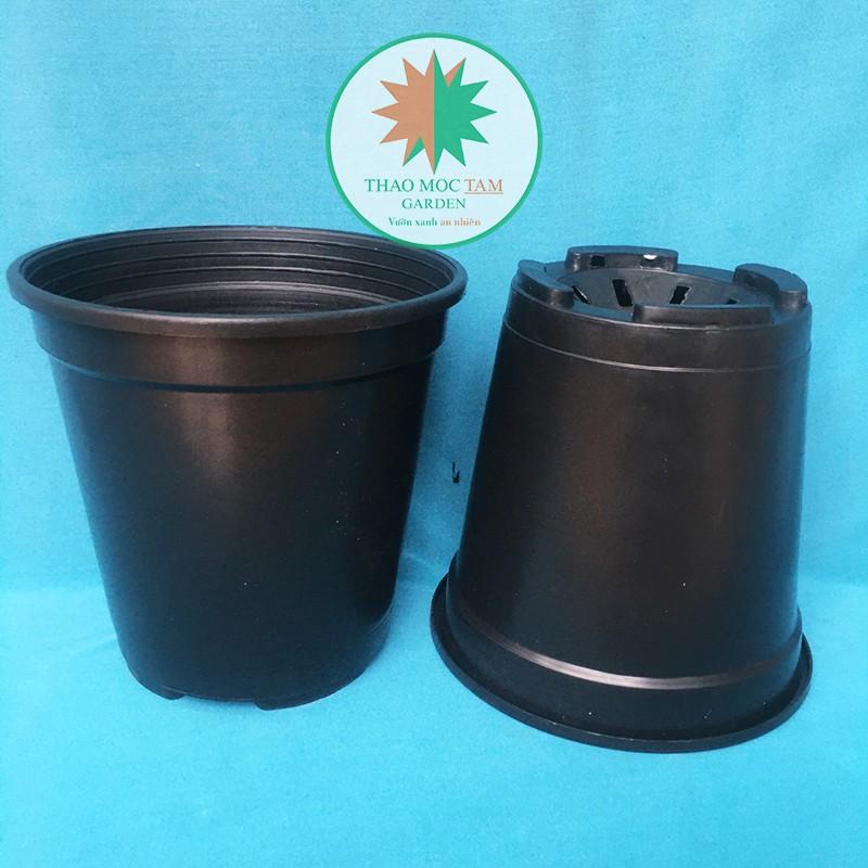 Chậu nhựa cứng 19x20cm – Chậu nhựa tròn cứng, dày, thích hợp trồng hoa hồng , hoa chậu, cây kiểng