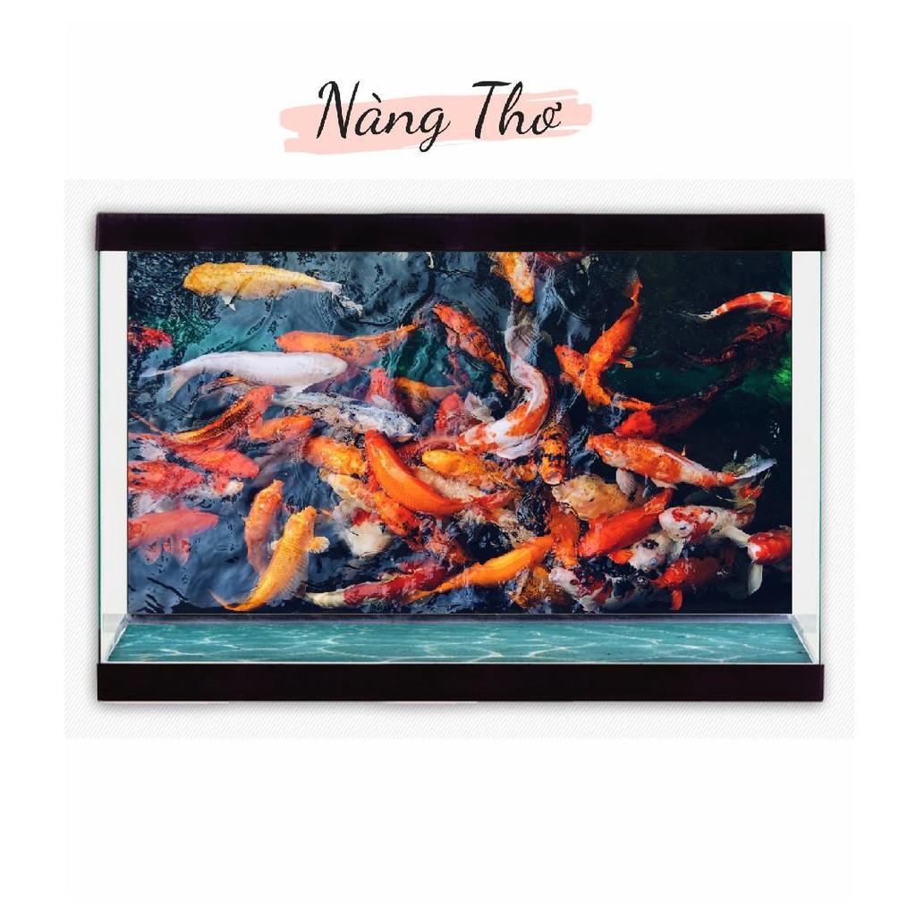 TRANH DECAL HÌNH CÁ KOI 3D DÁN HỒ CÁ NHIỀU KÍCH THƯỚC _THIẾT KẾ NÀNG THƠ