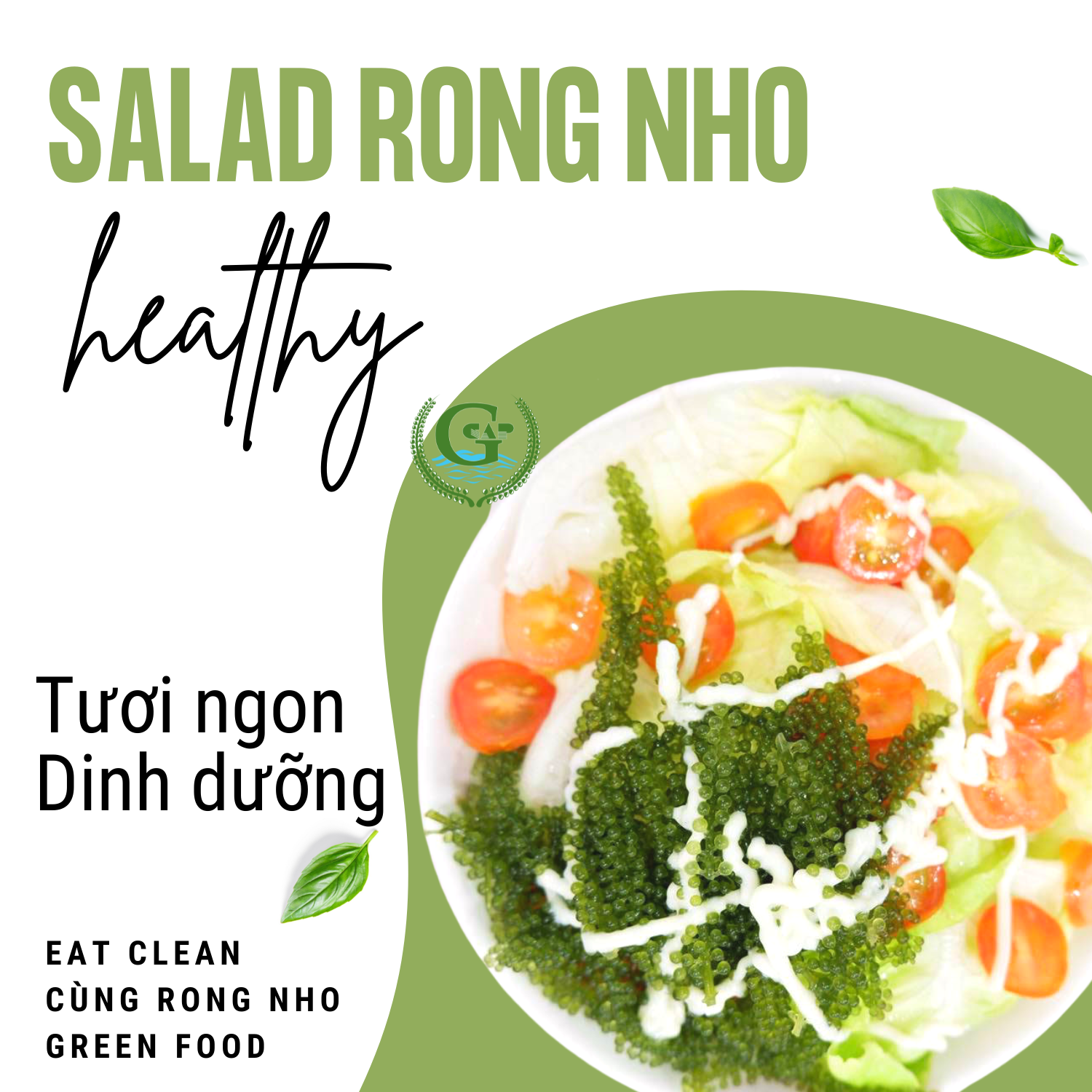 Rong nho biển GREEN FOOD - Sea grapes - Giàu vitamin, khoáng chất và các axit amin