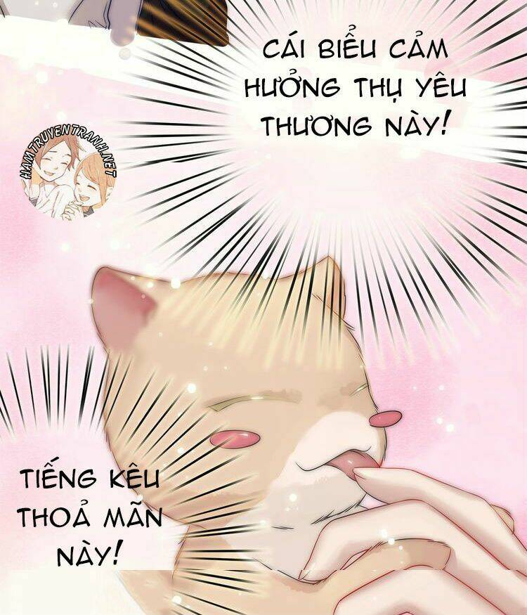 viện bảo tàng tâm nguyện chapter 2.1 21