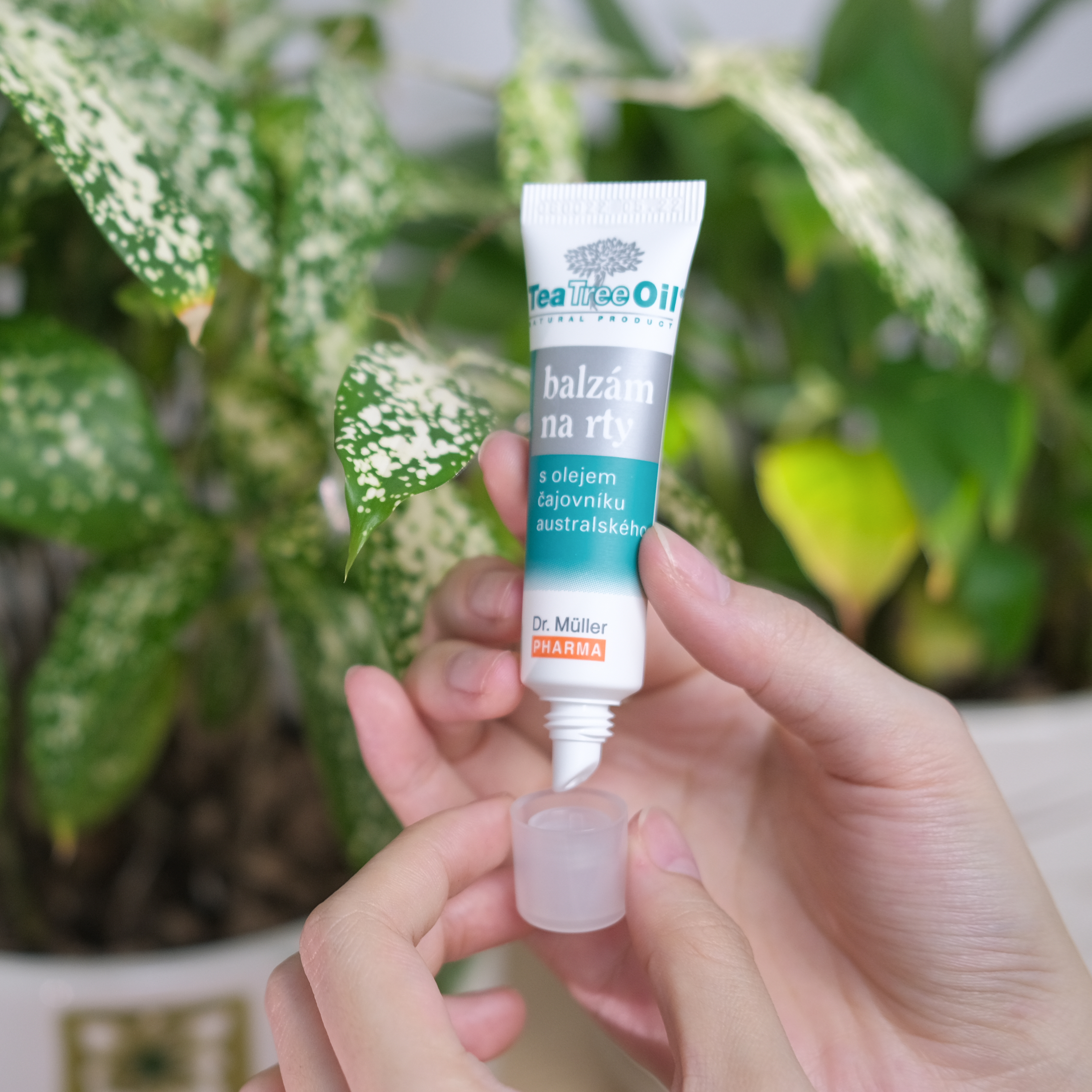 Son dưỡng không màu dầu tràm trà bổ sung Vitamin E Tea Tree Oil Dr Muller tuýp 10ml giúp môi mềm mại [Nhập khẩu Châu Âu]