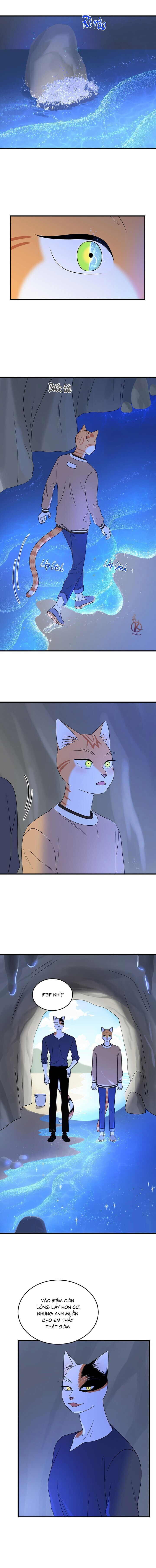 dự án xanh chapter 50 7