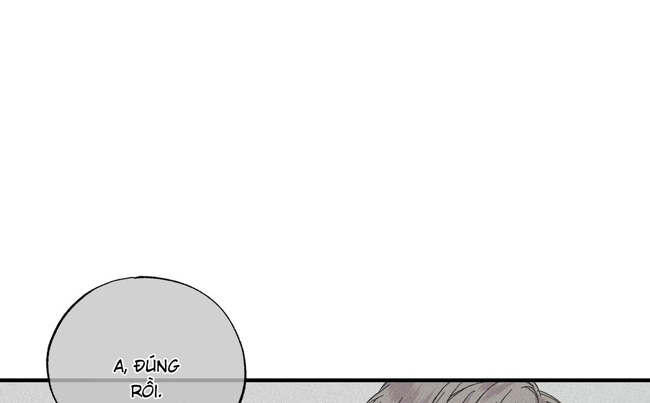 vị ngọt đôi môi chapter 31 101