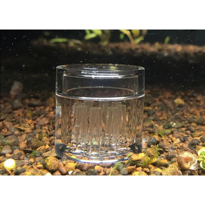 Bẫy sán cao cấp 8 lỗ - loại bỏ sán, bọ nước hồ tép, bể cá thủy sinh - an toàn cá tép - phụ kiện thủy sinh -shopleo